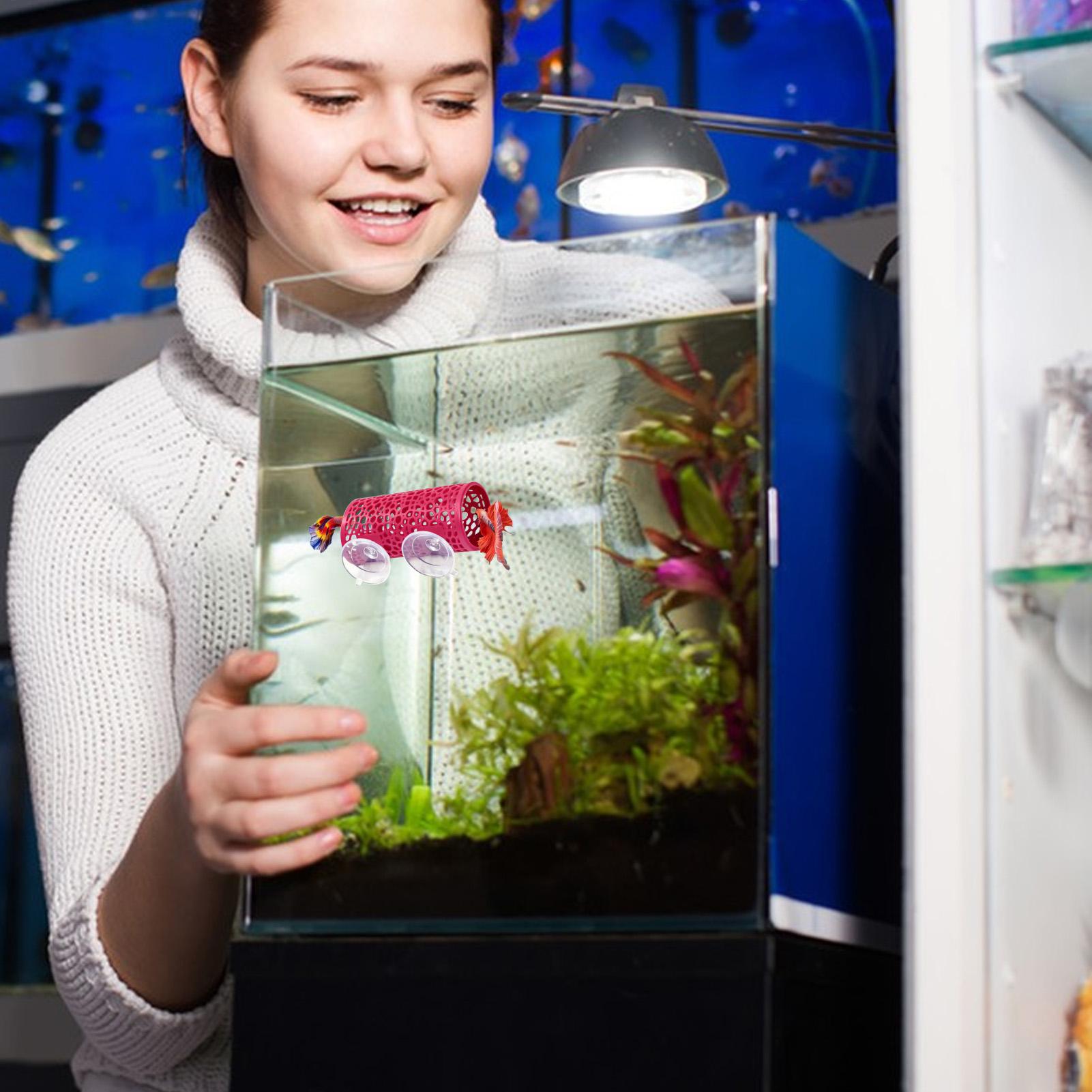 Aquarium Fish Small - Abrigo de Descanso para Bettas, Ornamento
