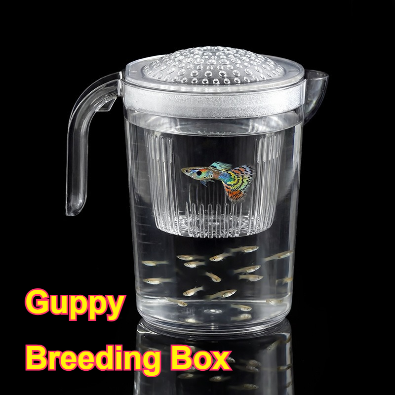 Aquarium Fish Delivery - Copo de Criação para Peixes Pequenos