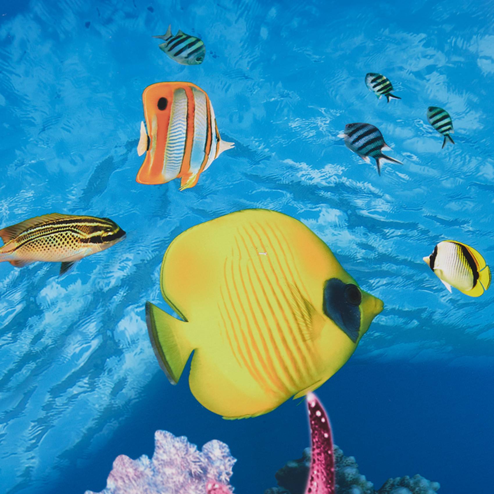Aquarium Fish Wallpaper Hd - BAAU Papel de fundo de aquário