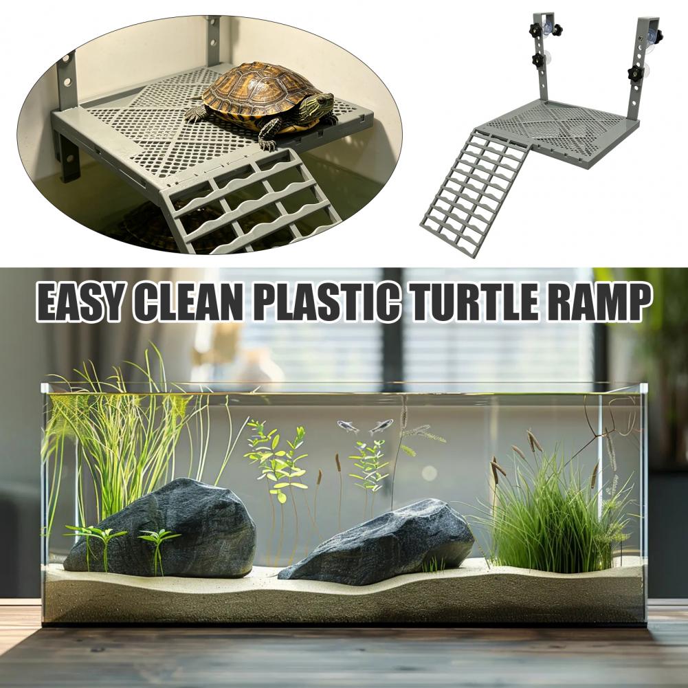 Aquarium Fish Guppy - Decoração para Aquário, Plataforma Suspensa Sólida