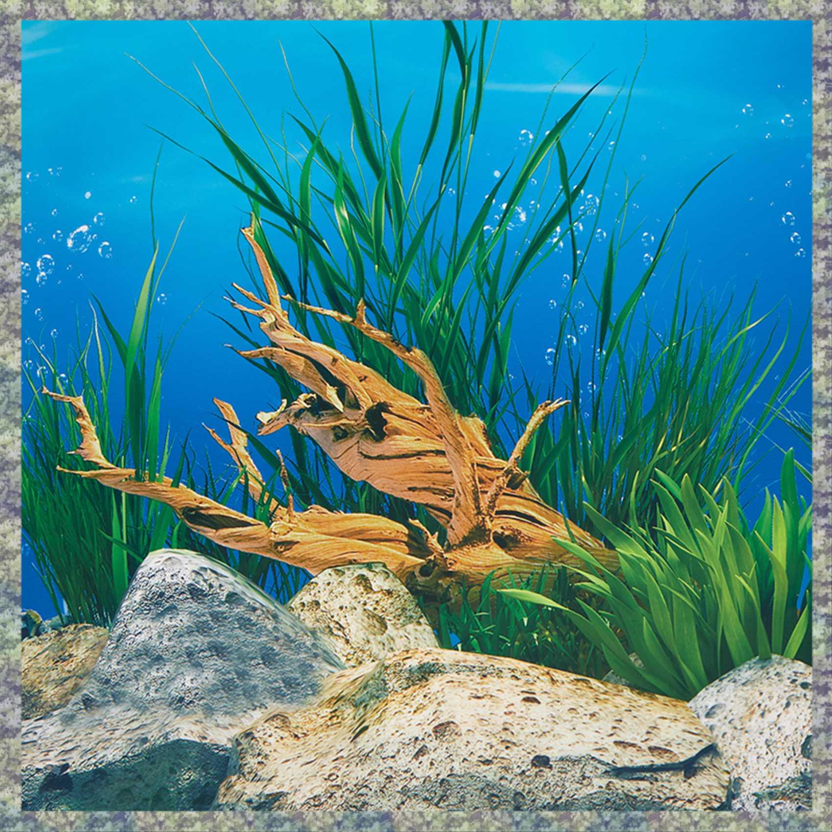 Aquarium Fish Wallpaper Hd - WON papel de fundo de aquário