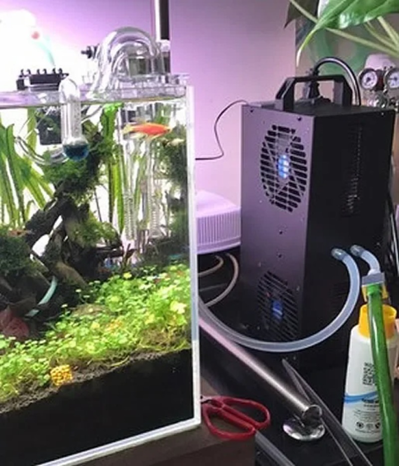 Refrigerador semicondutor ajus - Aquarium Fish Small avaliação e preço