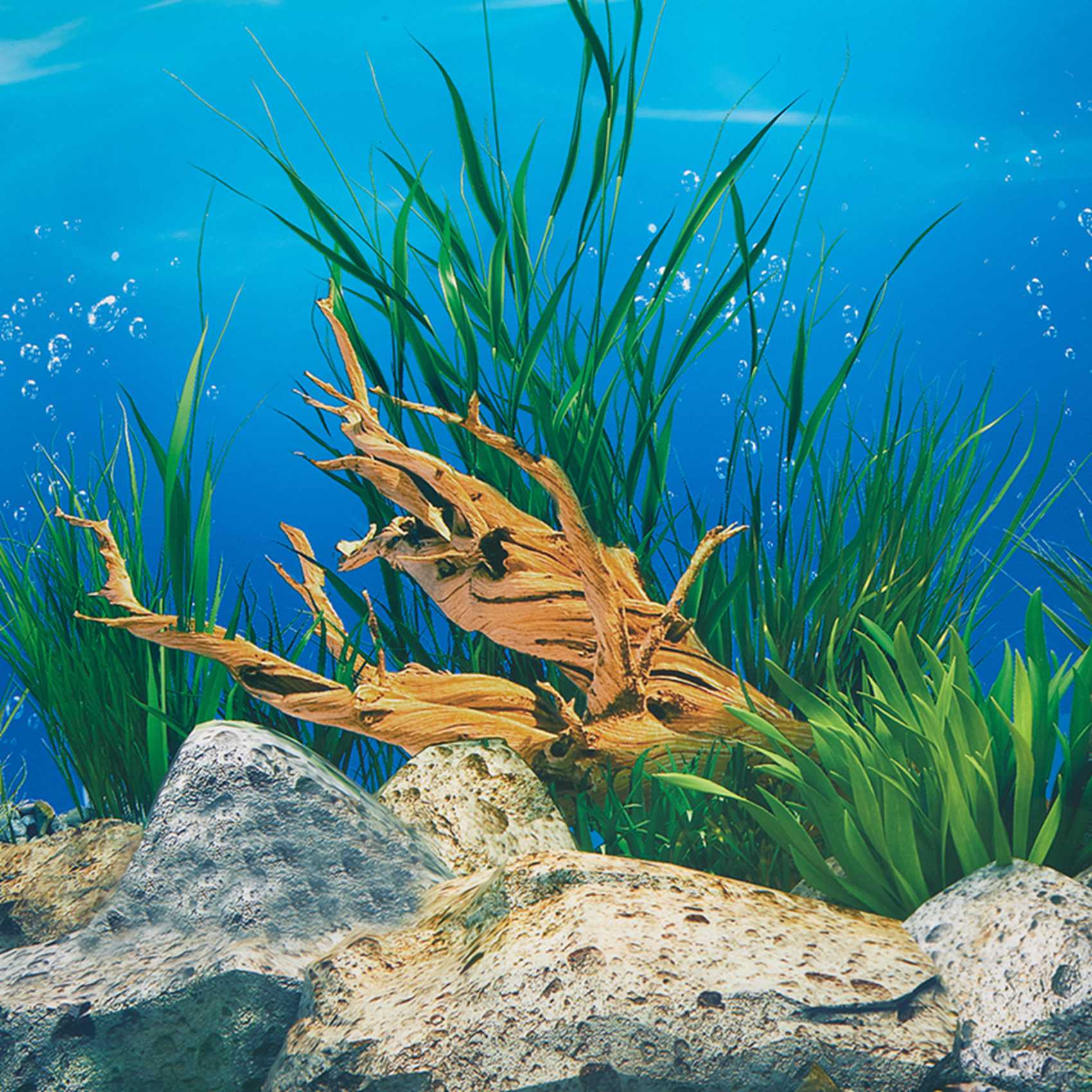 AB33-fundo de aquário papel hd - Aquarium Fish Wallpaper Hd avaliação e preço
