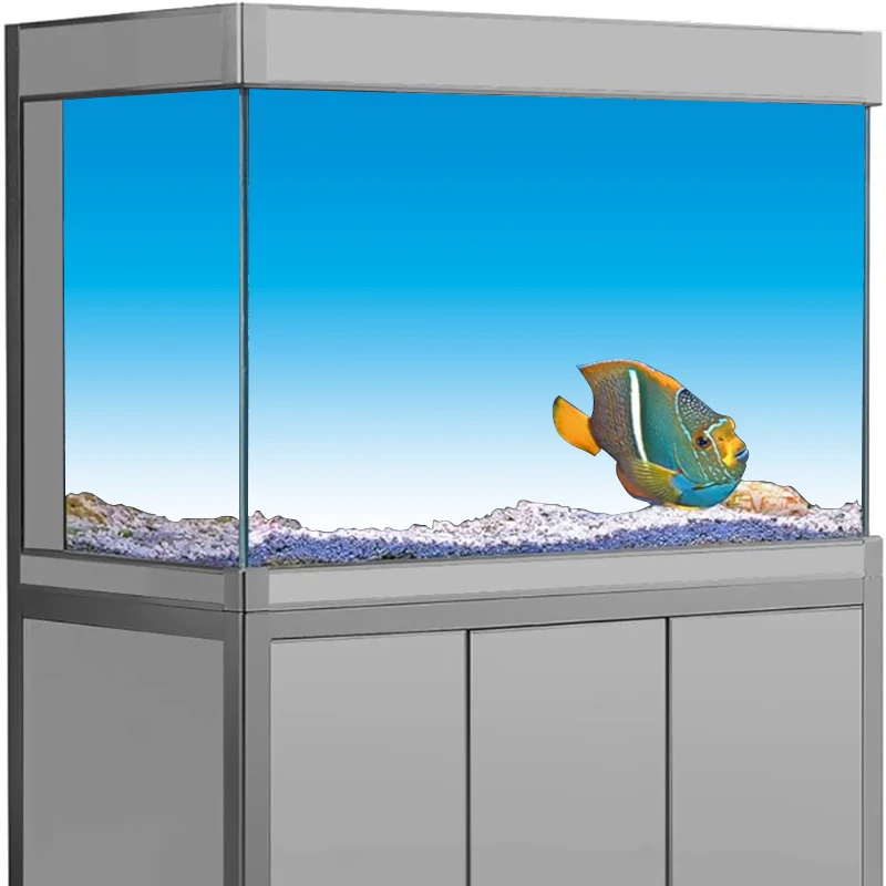 Adesivo de fundo de aquário, t - Aquarium Fish Wallpaper Hd avaliação e preço