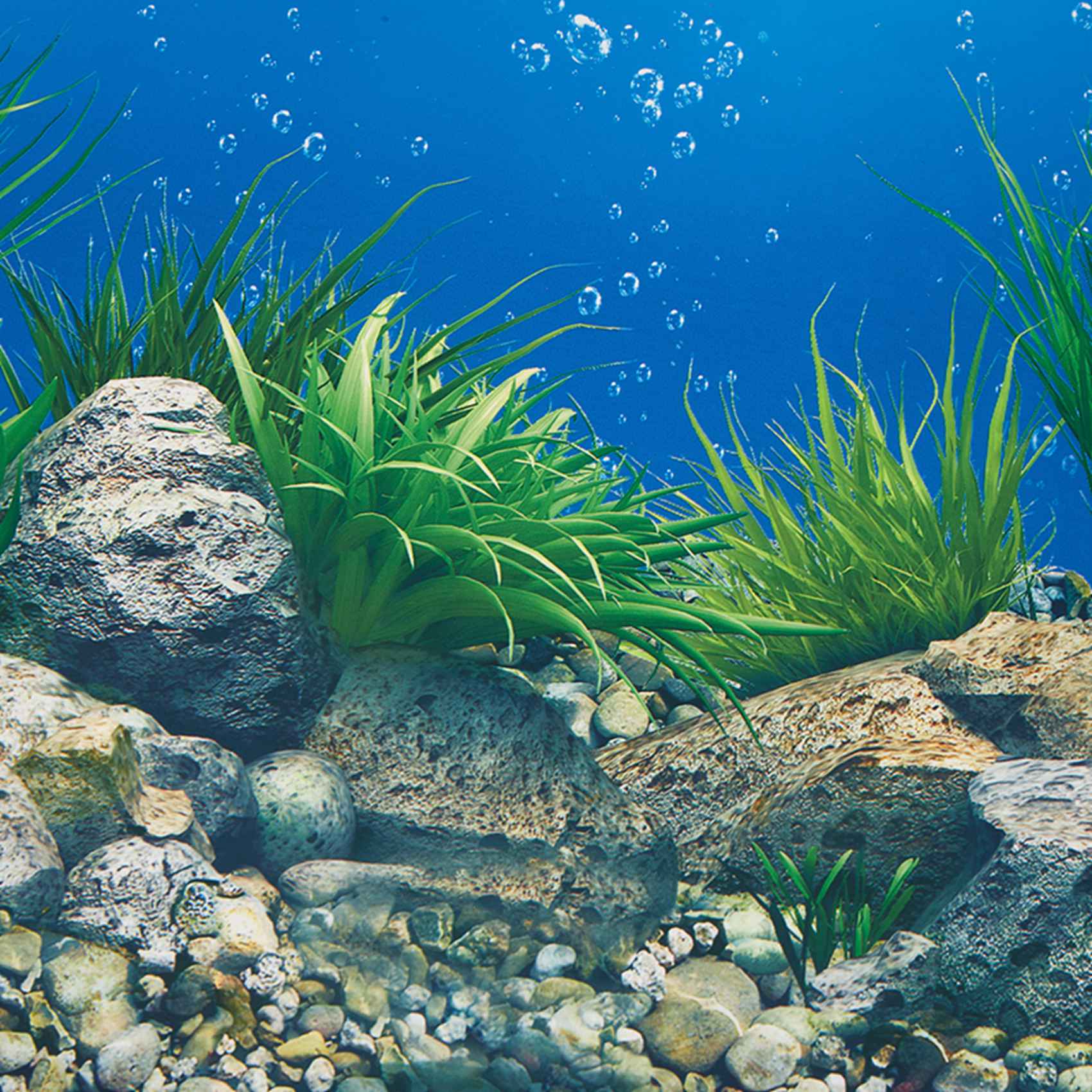 Papel de Fundo para Aquário AB - Aquarium Fish Wallpaper Hd avaliação e preço