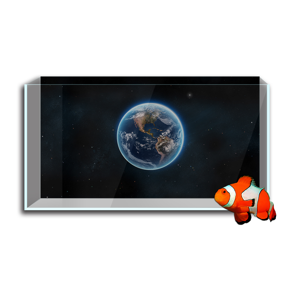 Adesivo de fundo para tanque d - Aquarium Fish Wallpaper Hd avaliação e preço