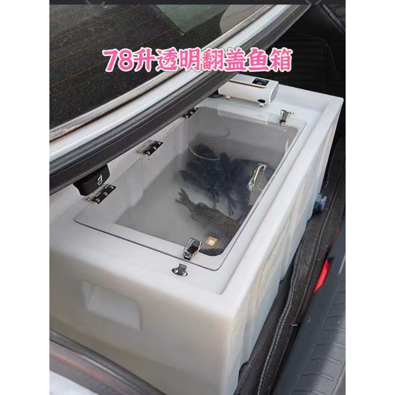 Caixa de peixes vivos para mon - Aquarium Fish Small avaliação e preço