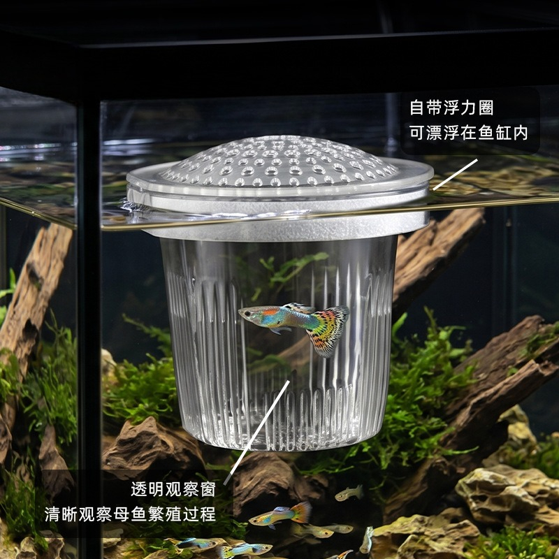 Copo de Criação para Peixes Pe - Aquarium Fish Delivery avaliação e preço