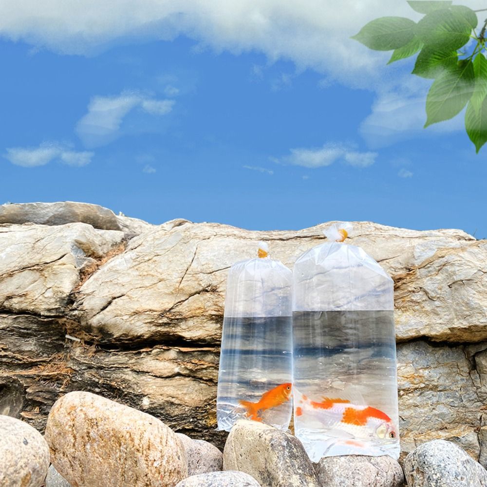 10 Sacos Plásticos Transparent - Aquarium Fish Delivery avaliação e preço