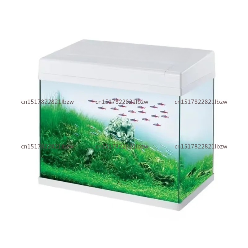 Aquário de Vidro Mini para Mes - Aquarium Fish Glass avaliação e preço