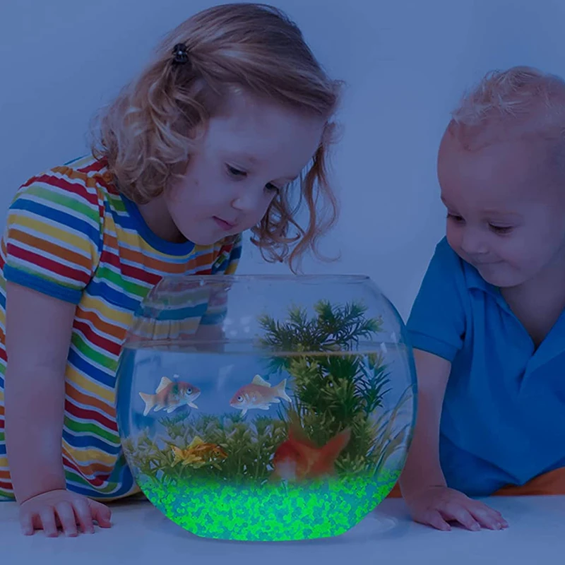 1000 pçs 3-5mm areia luminosa  - Aquarium Fish Guppy avaliação e preço
