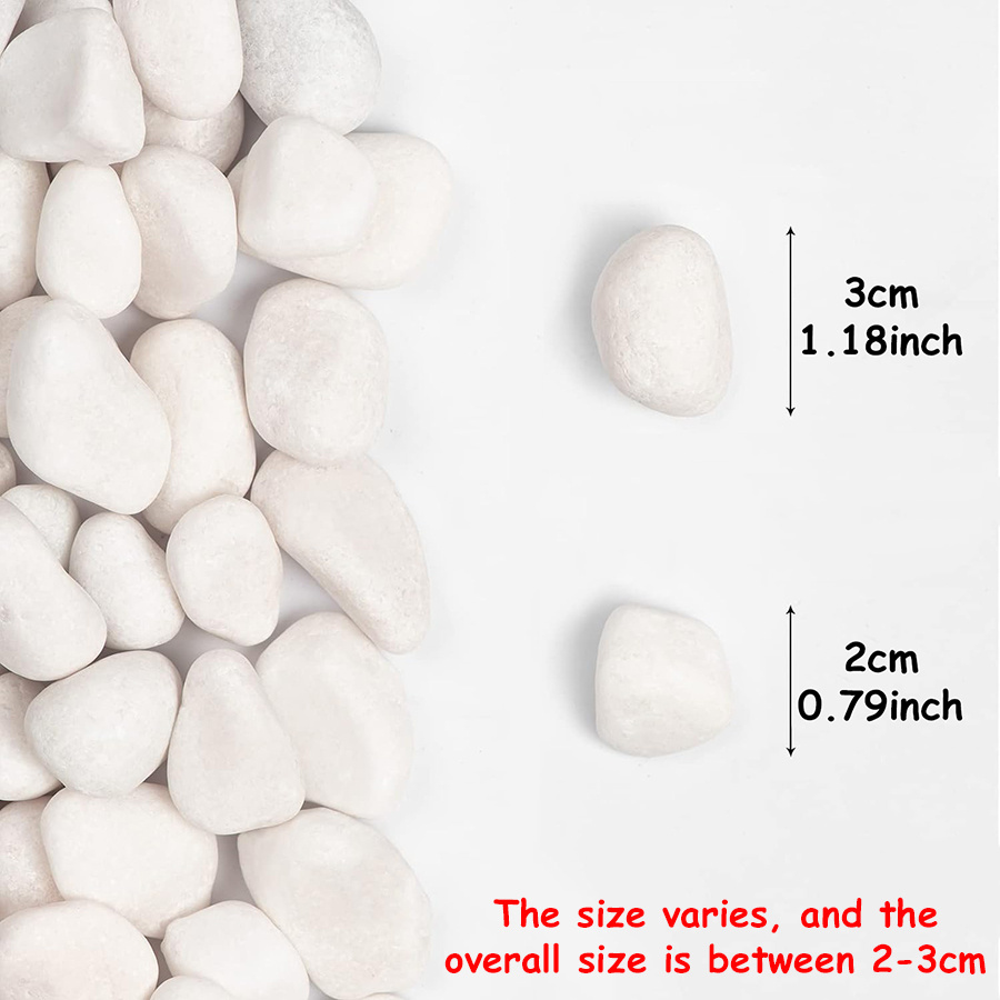 200/400g branco alto polido se - Aquarium Fish Guppy avaliação e preço
