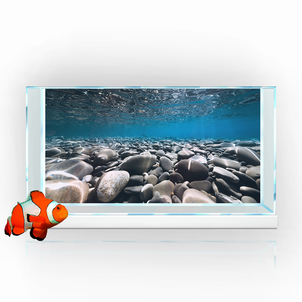 Fundo do aquário adesivo, fund - Aquarium Fish Wallpaper Hd avaliação e preço