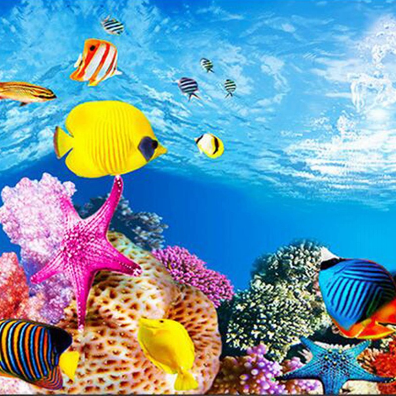 BAAU Papel de fundo de aquário - Aquarium Fish Wallpaper Hd avaliação e preço