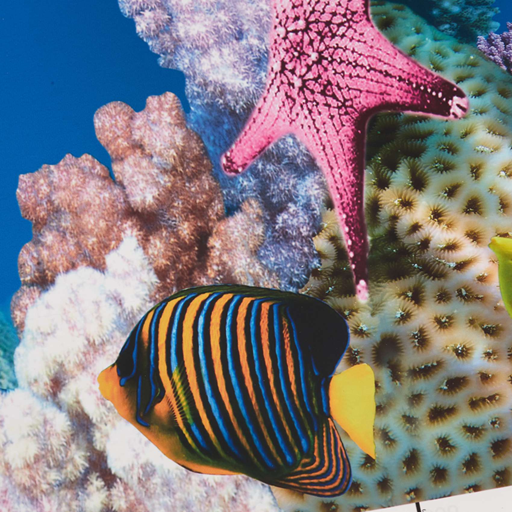 BAAU Papel de fundo de aquário - Aquarium Fish Wallpaper Hd avaliação e preço