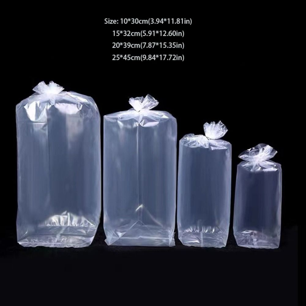 10 Sacos Plásticos Transparent - Aquarium Fish Delivery avaliação e preço