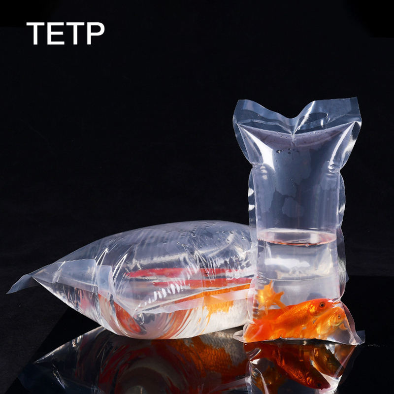 TETP Transparente Ornamentais  - Aquarium Fish Delivery avaliação e preço