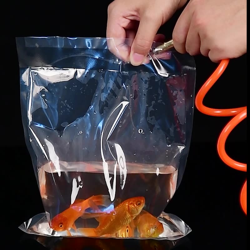TETP Transparente Ornamentais  - Aquarium Fish Delivery avaliação e preço