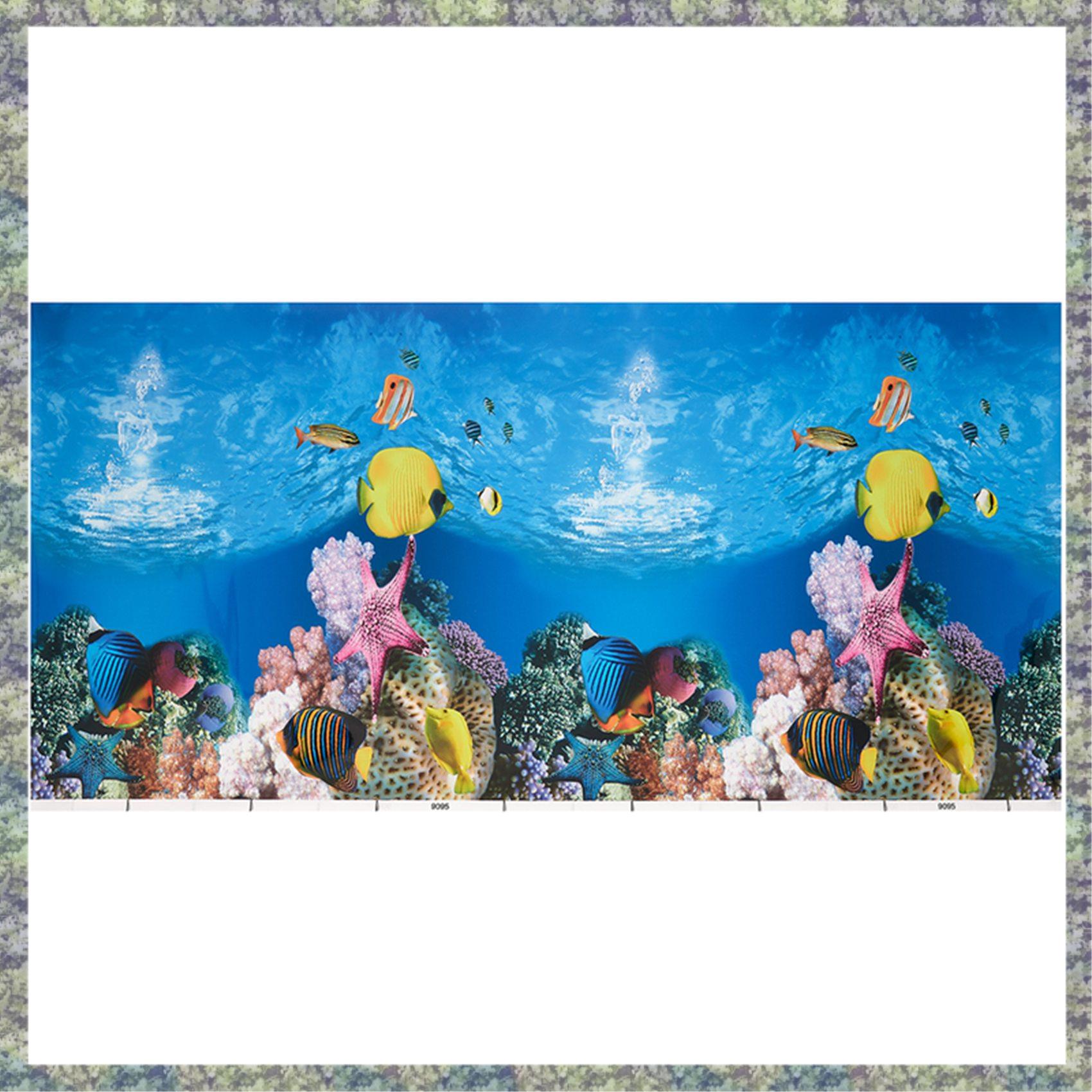 WON papel de fundo de aquário  - Aquarium Fish Wallpaper Hd avaliação e preço