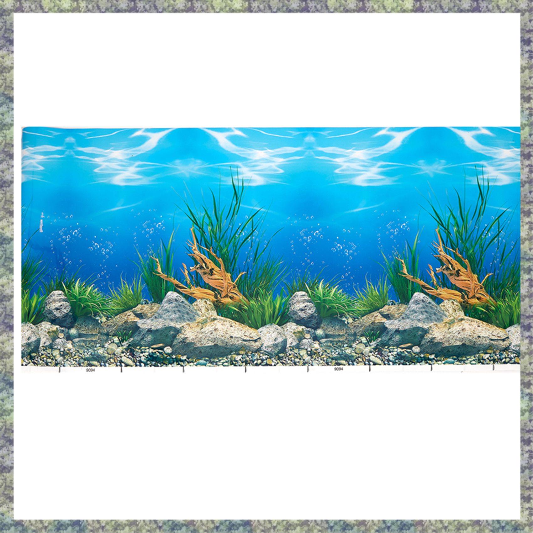 WON papel de fundo de aquário  - Aquarium Fish Wallpaper Hd avaliação e preço